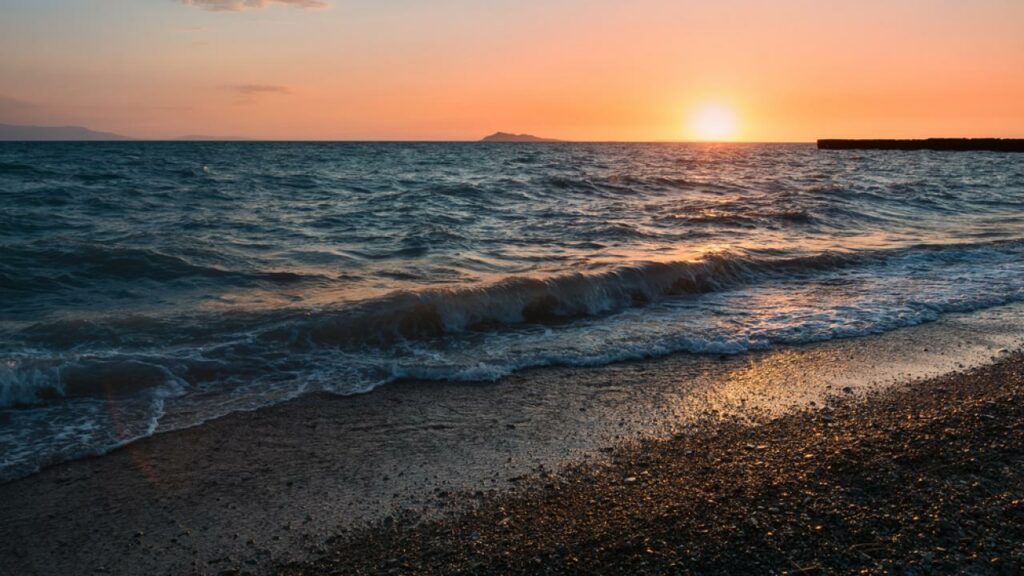 Фото: Shutterstock