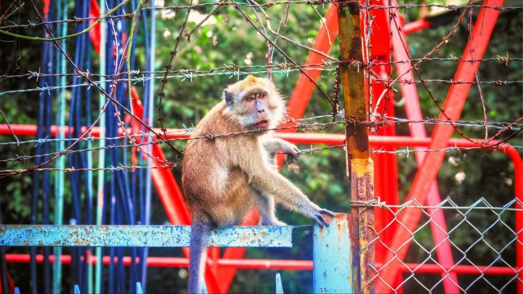 Фото: wallpaperscraft.ru