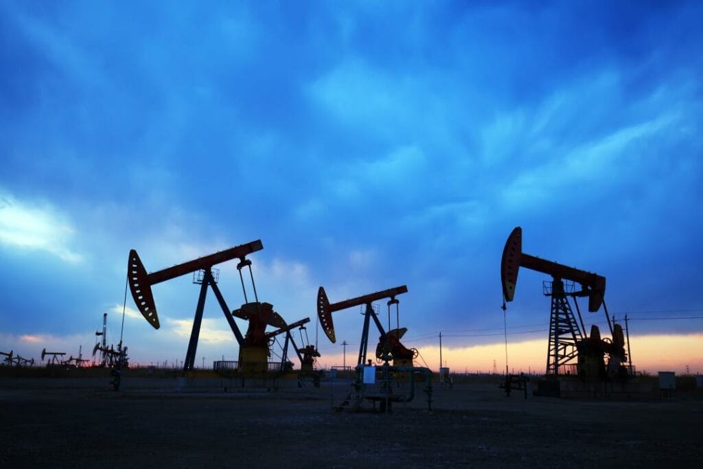 Фото: Shutterstock.com