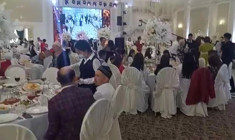 Фото: видеодан скриншот 