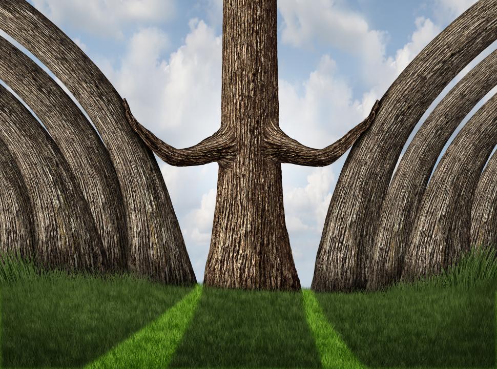 Фото: Depositphotos/lightsource