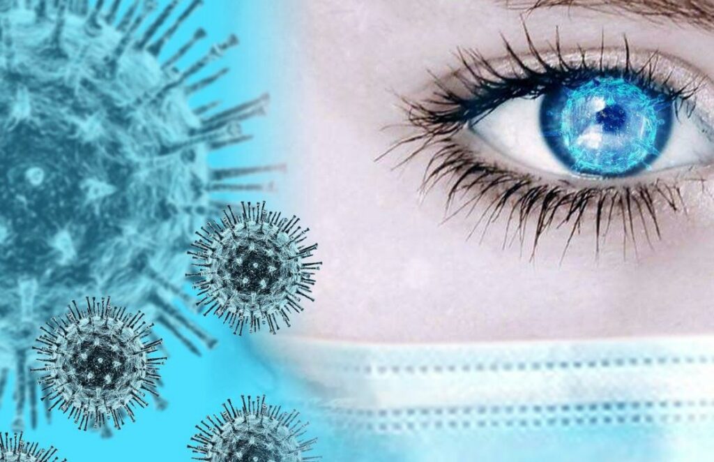 Фото: fernando zhiminaicela from Pixabay