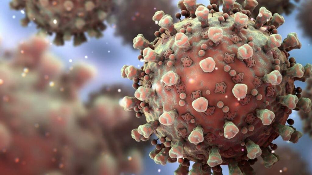 Фото: ҚР ДСМ