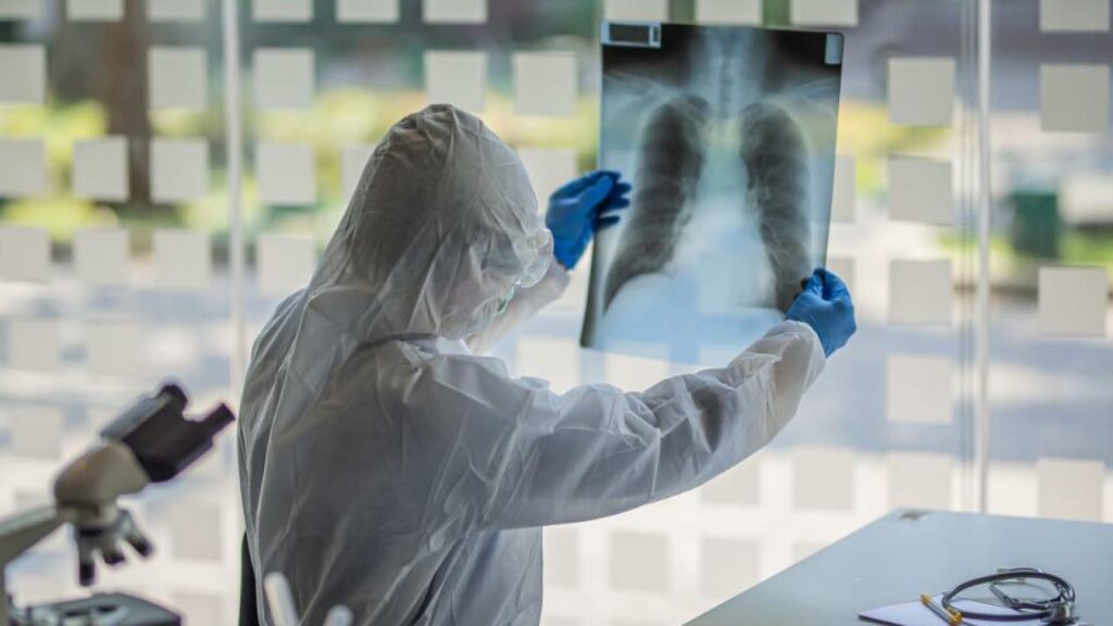 Фото: pixabay.com