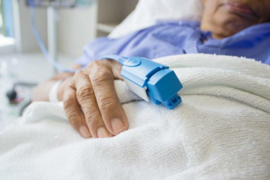 Фото: pixabay.com