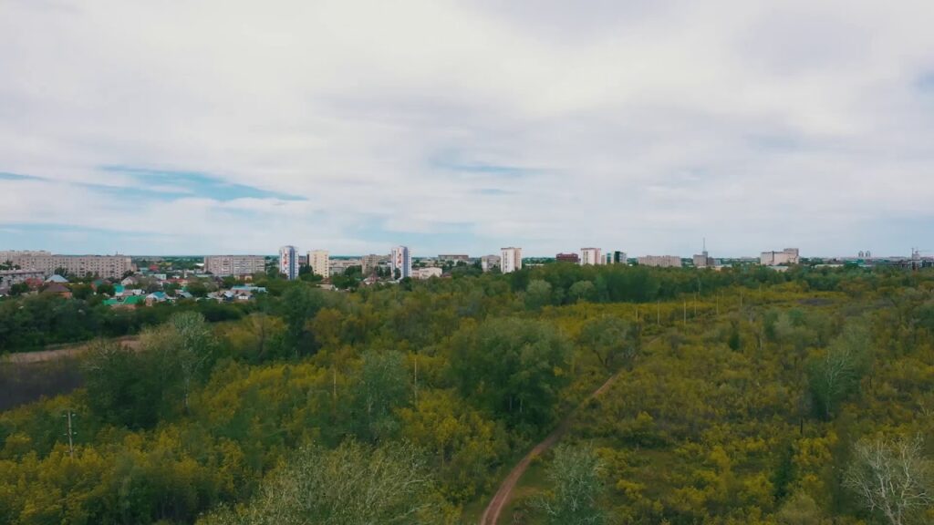 Фото: скриншот с видео