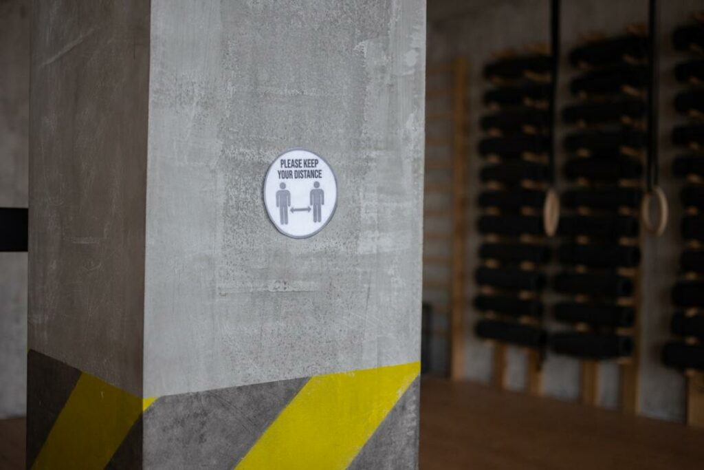 Фото Monstera: Pexels