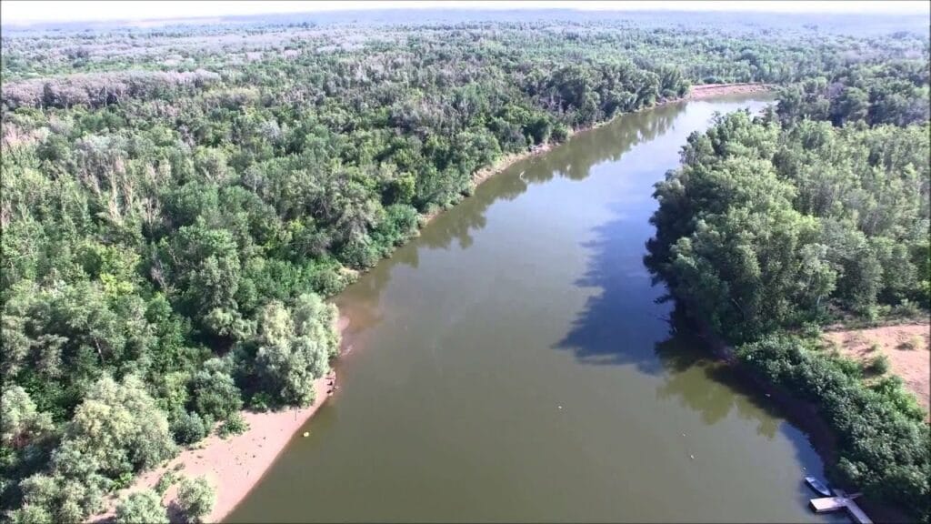 Фото: скриншот