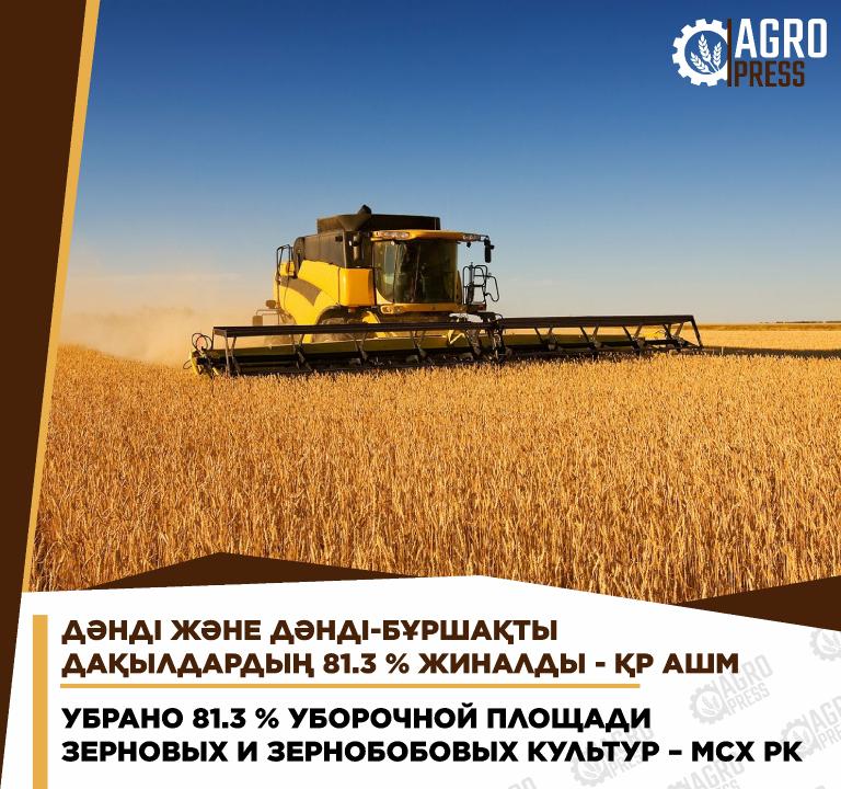 Дәнді және дәнді-бұршақты дақылдардың 81.3 % жиналды – ҚР АШМ