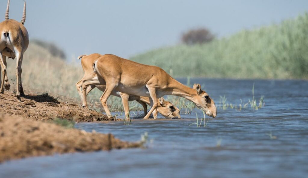 Фото: Shutterstock