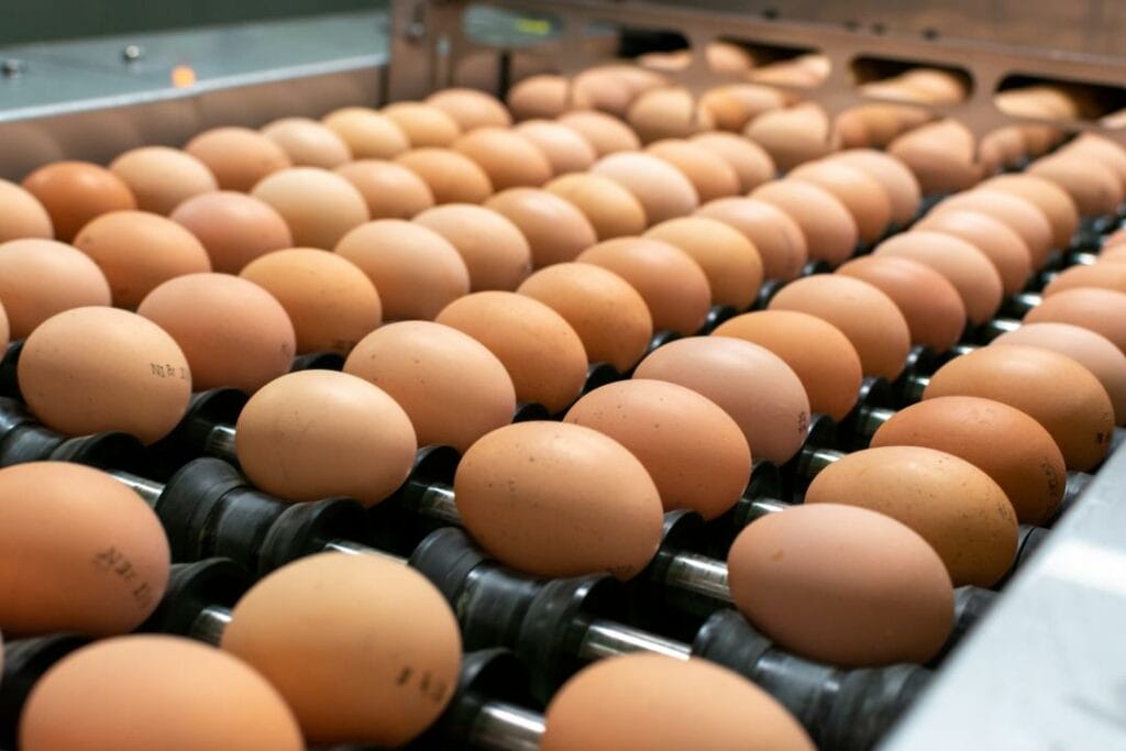 Фото: Deposit Photos