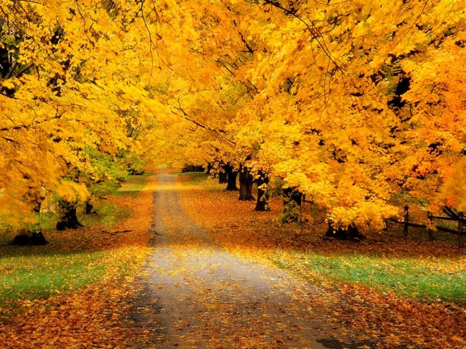 Фото:massaget.kz