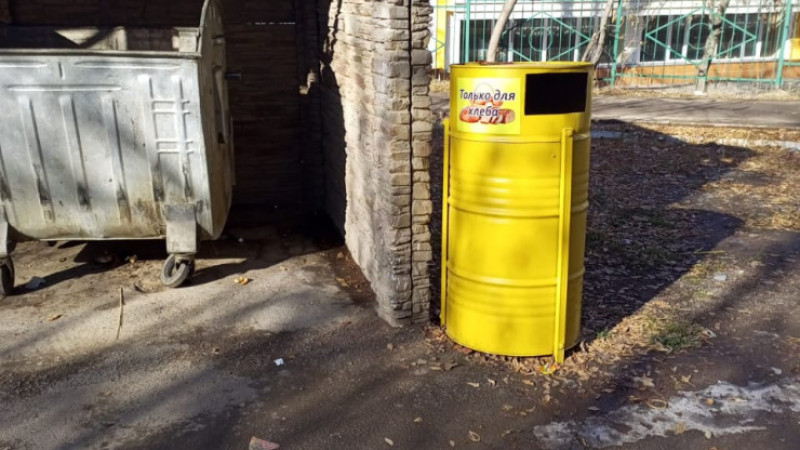 Фото: Багдат Сарсеев