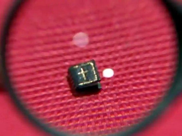 Әлемдегі ең кішкентай кітаптардың бірі аукционда сатылды