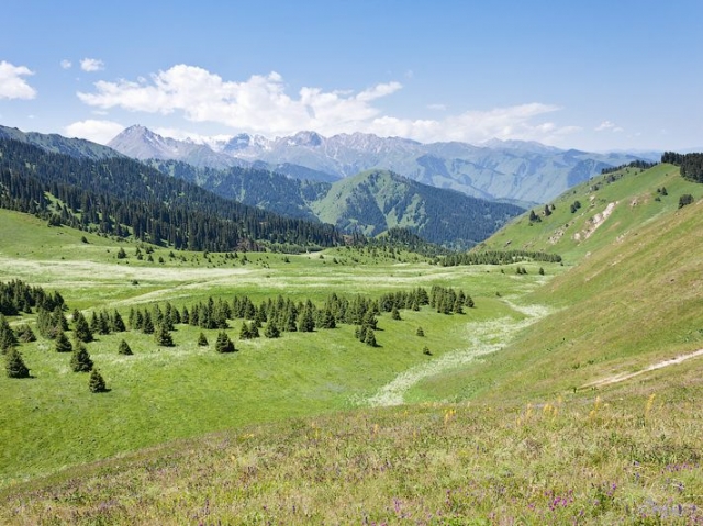 В Мангыстау внедряют пилотный проект «Отгонное животноводство на плато Устюрт»