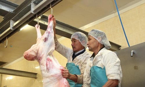 Ежемесячно ЗКО будет поставлять 100 тонн ягнятины в Узбекистан