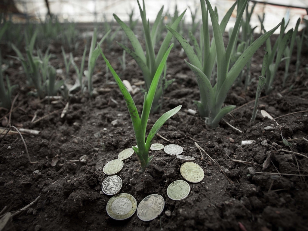 Арендаторы могут выкупить земли сельхозназначения на льготных условиях