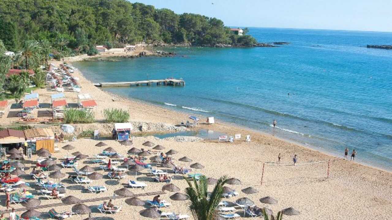 Порно бекіту