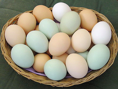 Птицеводы обвиняют в повышении цен на яйца супермаркеты