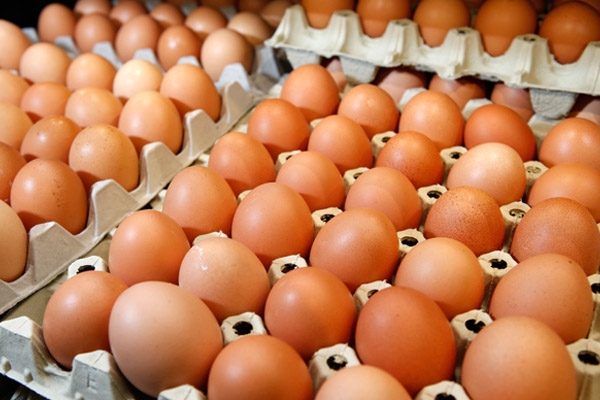 Цены на яйца слишком высоки даже для сезонного подорожания