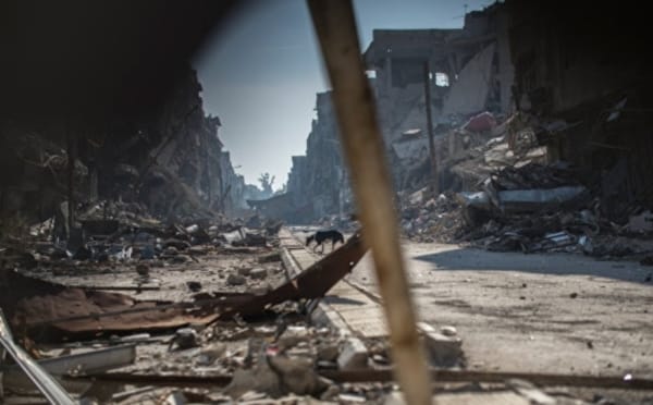 Террористы убили около 280 человек в сирийской провинции Дэйр-эз-Зор