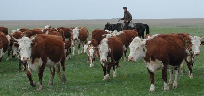 ККМ с онлайн-передачей: кому закон не писан?