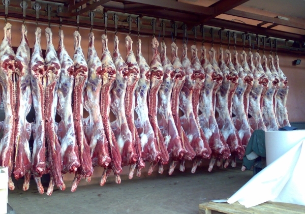 Экспорт говядины из Костанайской области увеличится в 6 раз