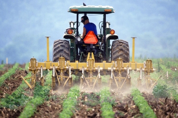 Китайские компании заходят в Казахстан