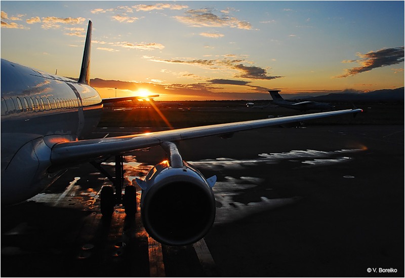 Тимур Кулибаев: новый аэропорт Алматы не нужен