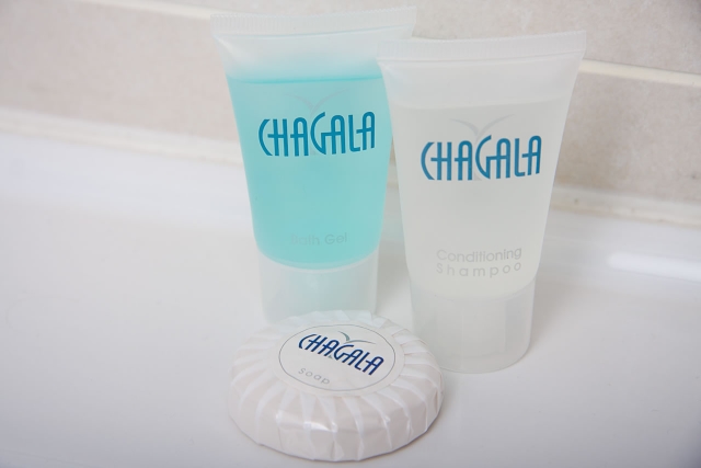 Светлана Мендеш стала финдиректором Chagala Group