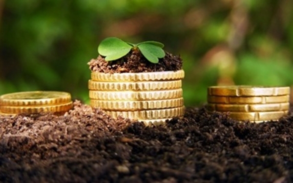 В 2015 году рост инвестиций в сельское хозяйство РК затормозился до 0,4%