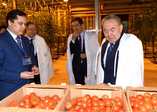 Назарбаев отметил важность применения научного подхода в сельхоз отрасли