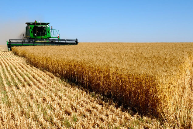 Агробизнес Голландии заинтересован в АПК Казахстана