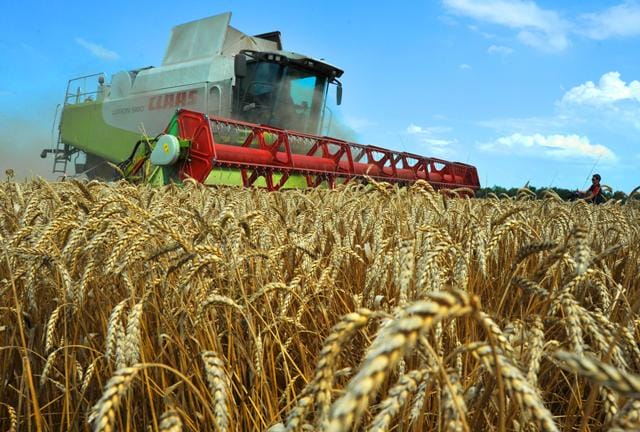 С 2017 года Минсельхоз оставит только эффективные субсидии