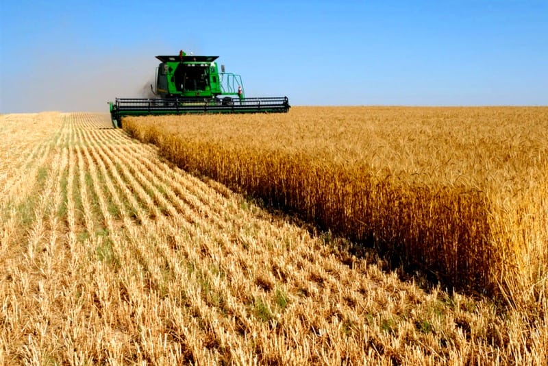 Продкорпорация профинансировала аграриев на сумму свыше 10 млрд тенге