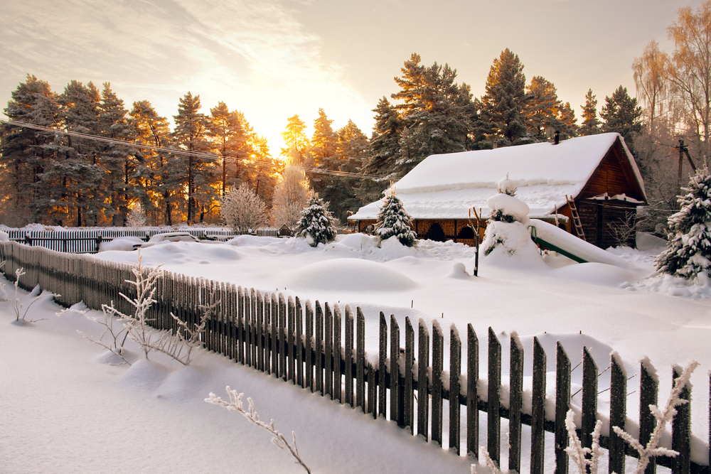 Фото: Shutterstock.com / Dmitry Savin