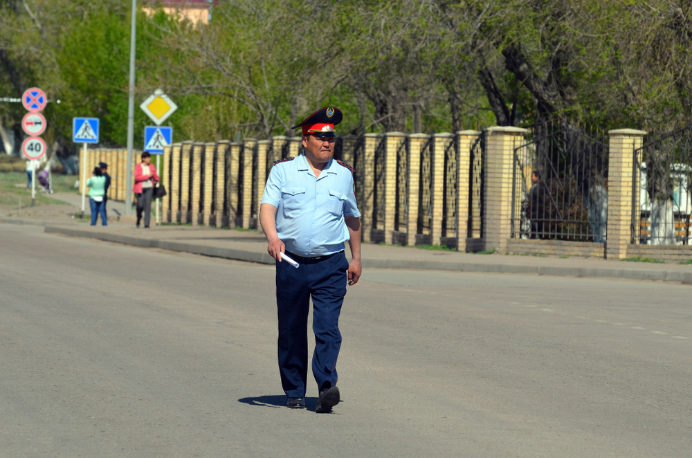 Фото: Shutterstock.com / Sergey Kamshylin