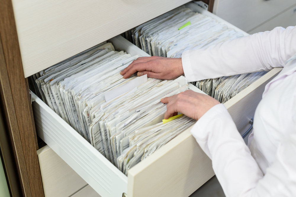 Фото: Shutterstock.com / Yana Vinnikova