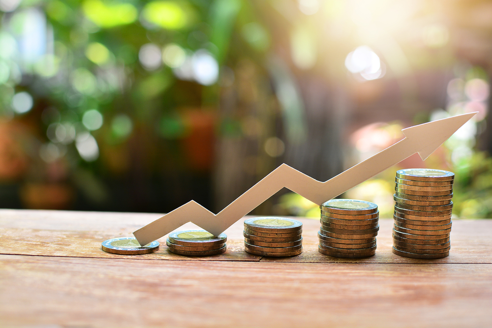 Фото: Shutterstock.com / ITTIGallery