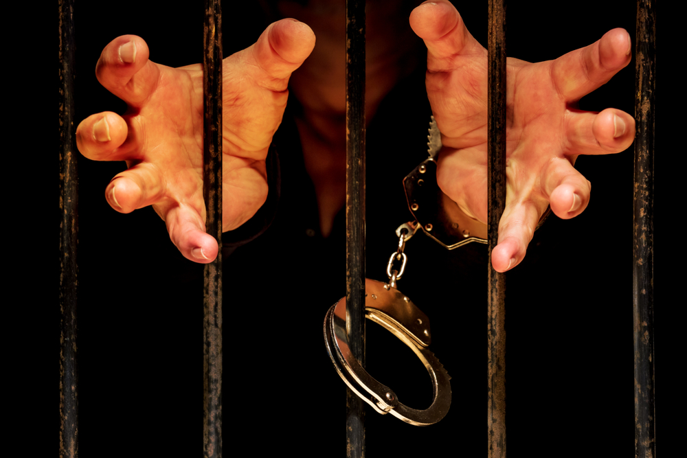 Фото: Shutterstock.com / Rainer Fuhrmann