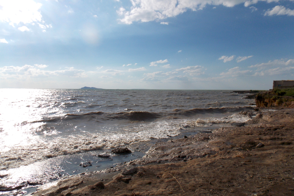 Фото: Shutterstock