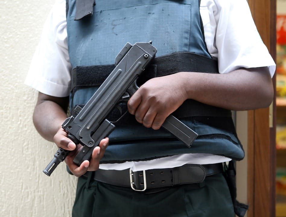 Фото: pixabay.com