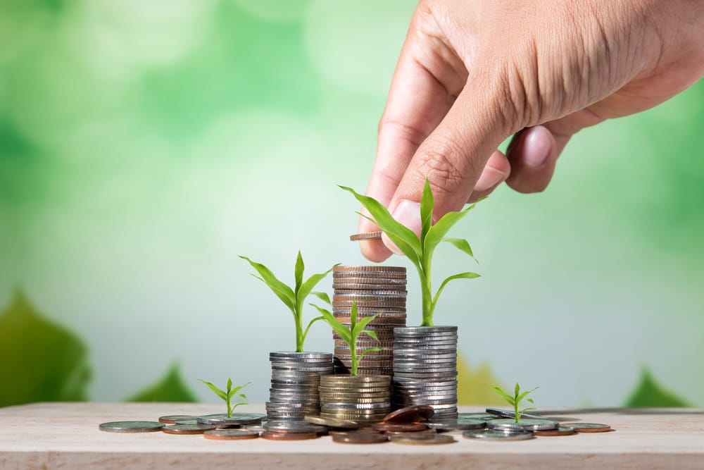 Фото: Shutterstock