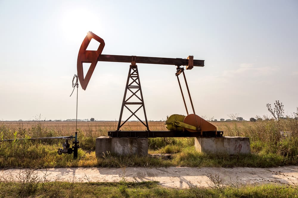 Фото: Shutterstock / A_Lesik