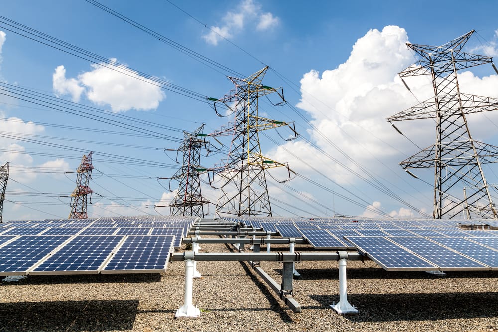 Фото: Shutterstock.com / Zhangyang13576997233