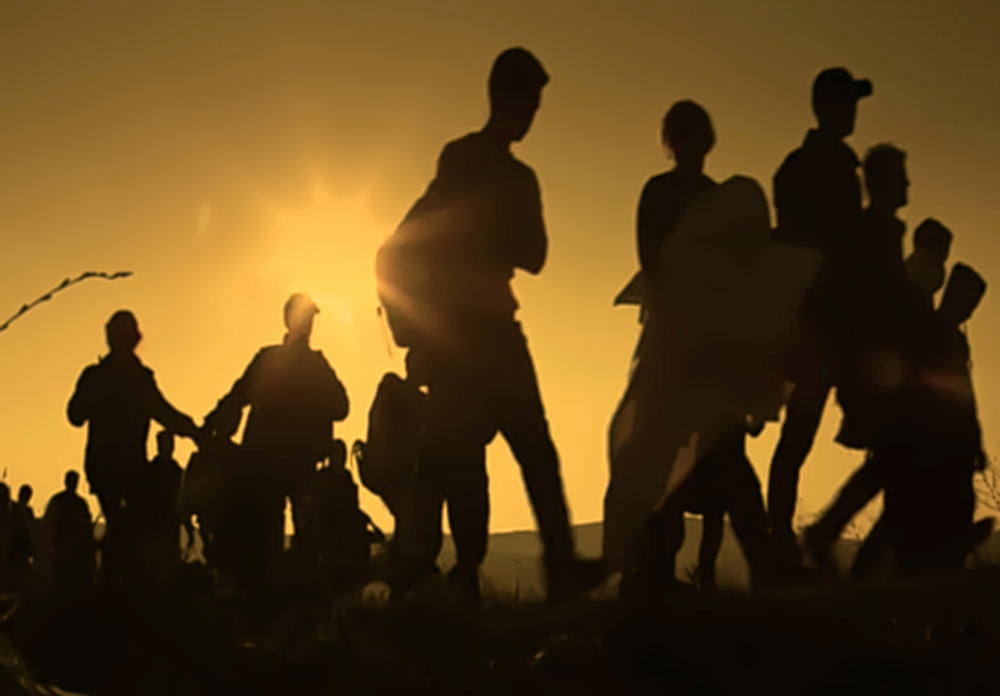 Фото: Shutterstock