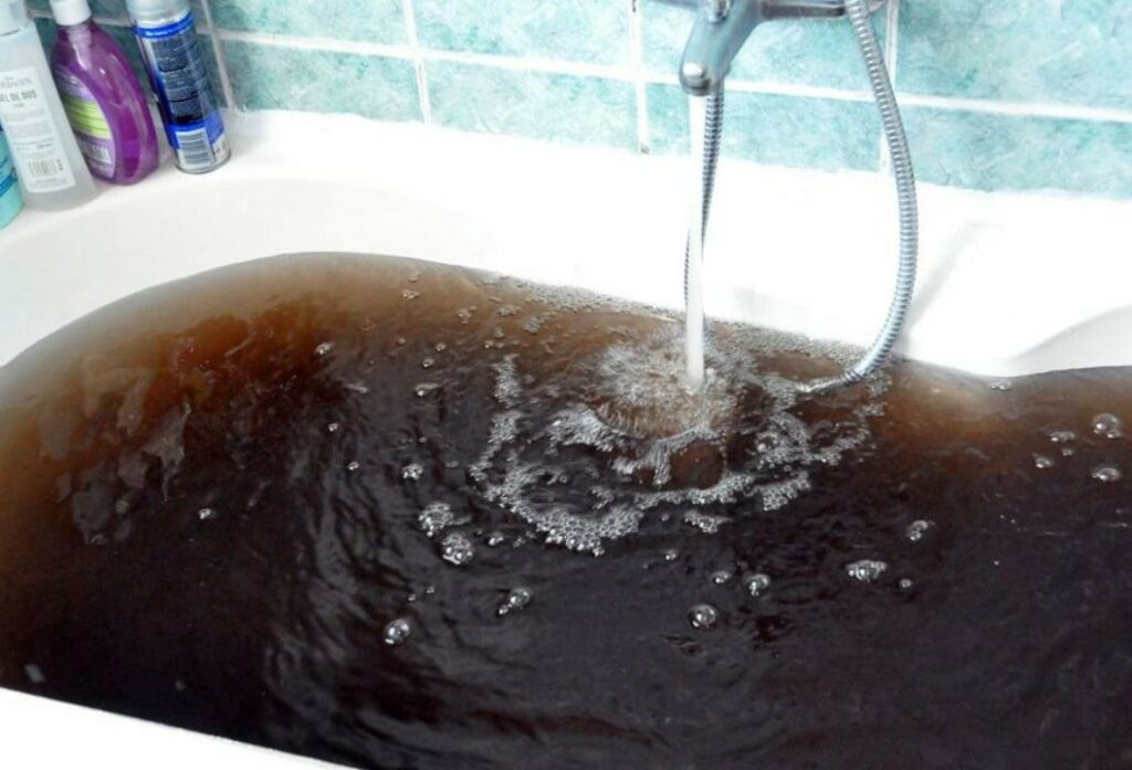 Фото: Vistanews.ru