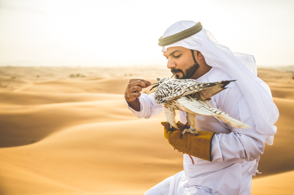 Фото: Shutterstock