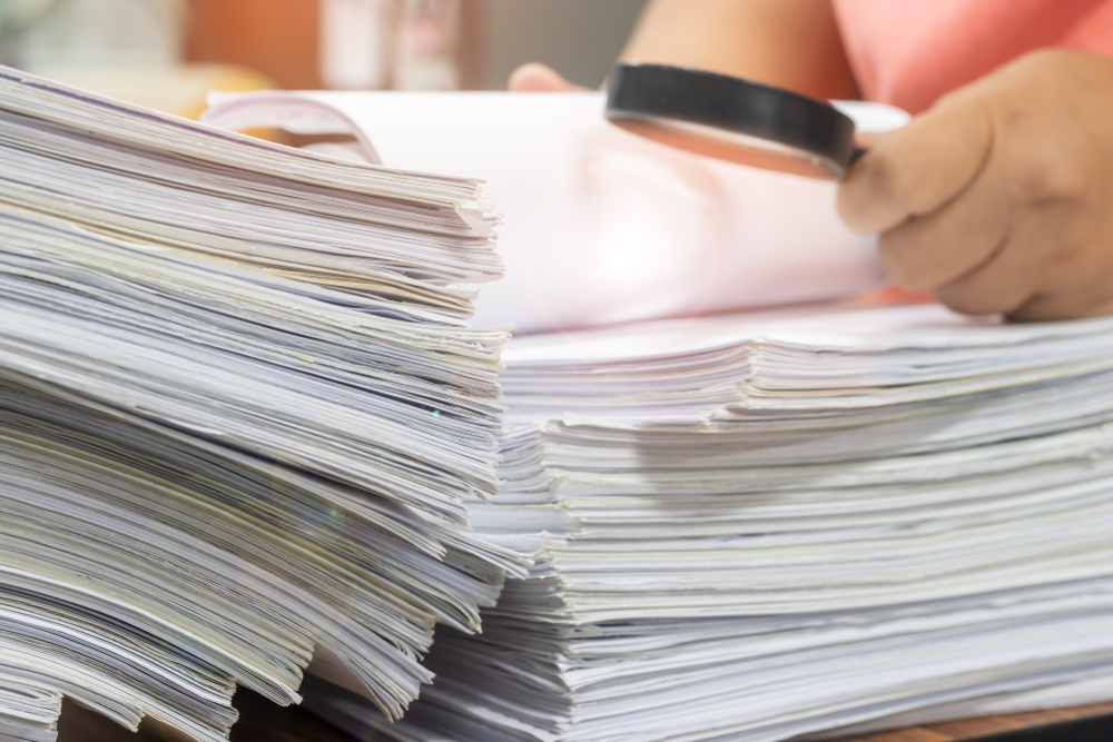 Фото: Shutterstock / NuPenDekDee