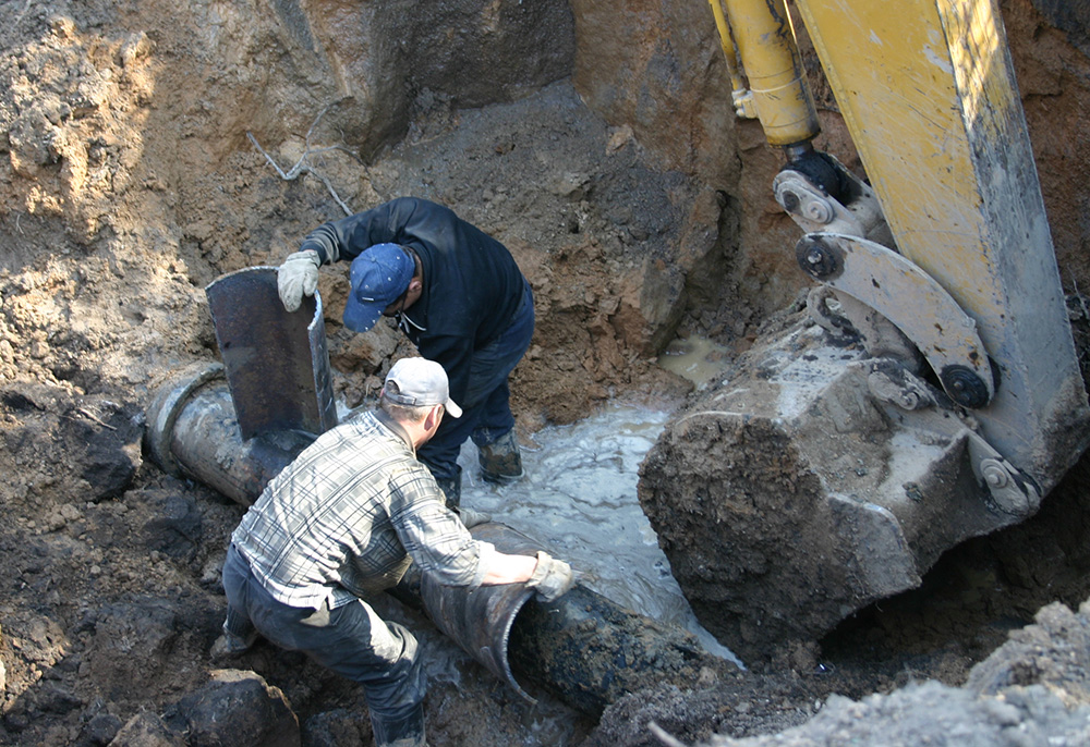 Фото: Дмитрий КУЗМИЧЕВ